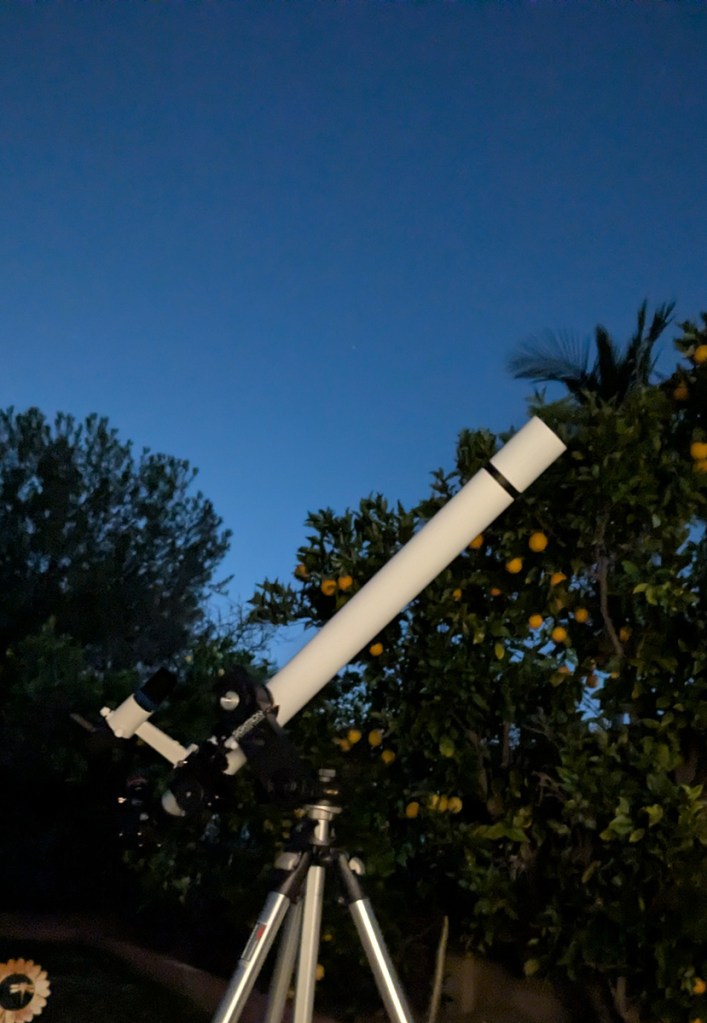 A telescope set up outdoors at dusk, with a clear blue sky and a lemon tree in the background.